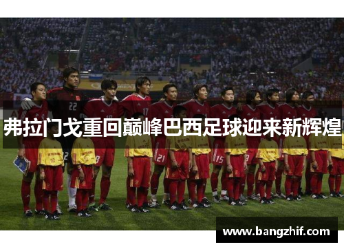 弗拉门戈重回巅峰巴西足球迎来新辉煌