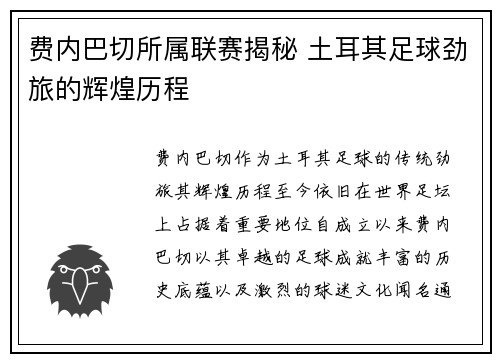 费内巴切所属联赛揭秘 土耳其足球劲旅的辉煌历程